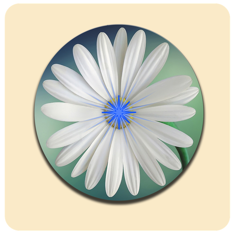 Dessous de verre lumineux avec piles de rechange offertes | Design : Fleur