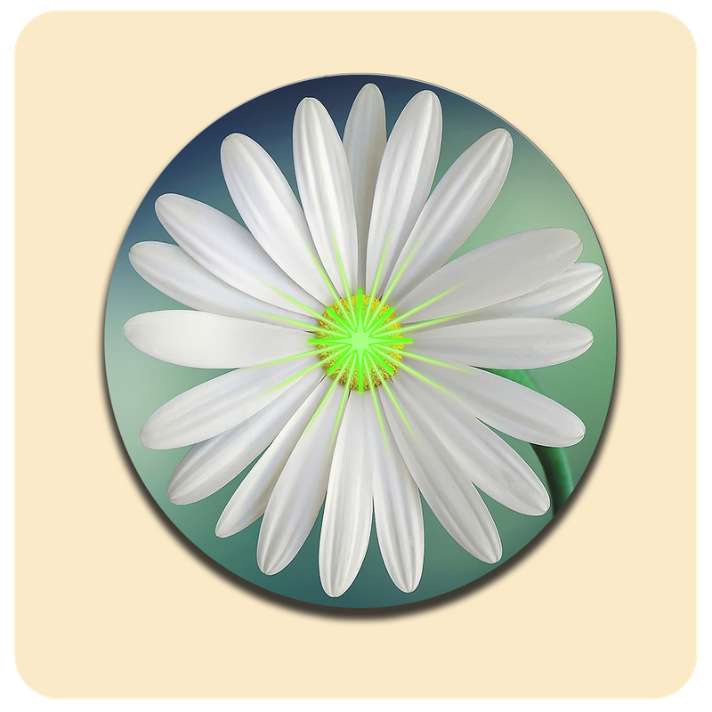 Dessous de verre lumineux avec piles de rechange offertes | Design : Fleur