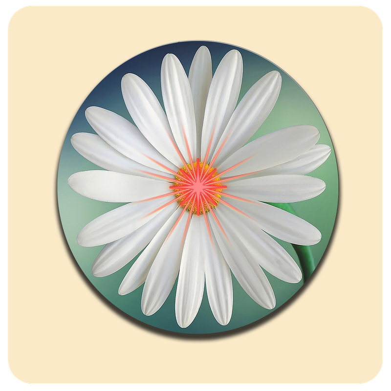 Dessous de verre lumineux avec piles de rechange offertes | Design : Fleur