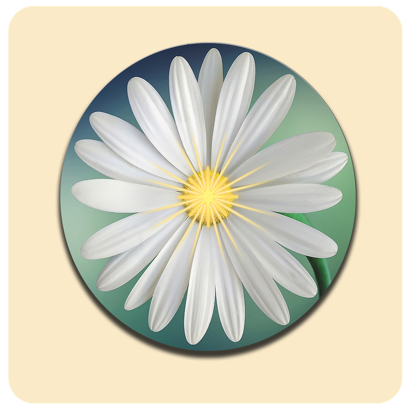 Dessous de verre lumineux avec piles de rechange offertes | Design : Fleur